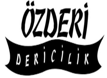 Özderi