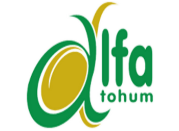 Alfa Tohum